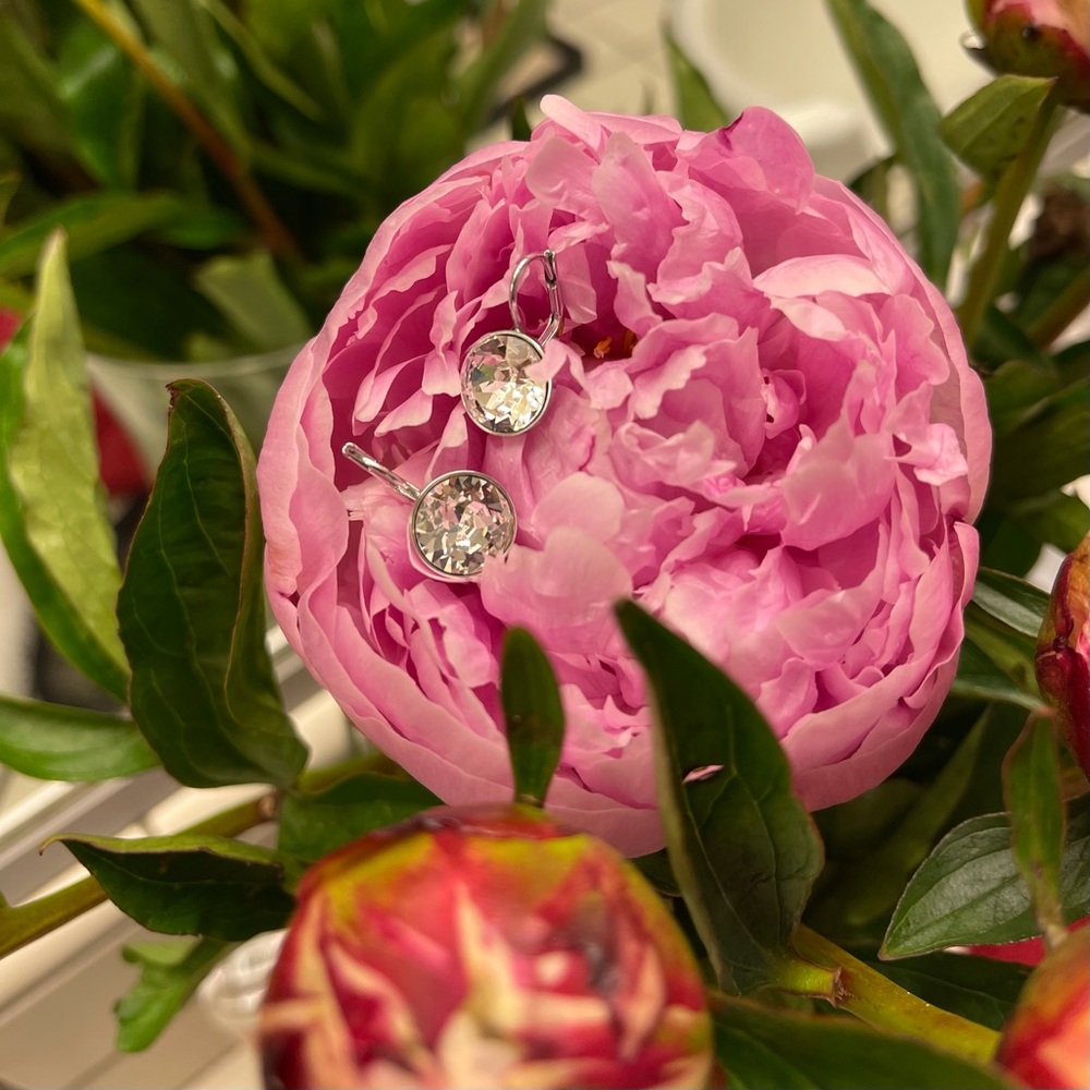 Swarovski Earrings